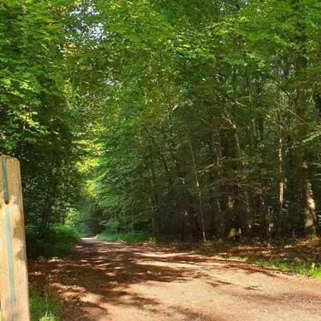 Mobil-home Avec Terrasse - 2 Chambres, 6 Personnes - Api-1-52-514 Les Grandes-Ventes